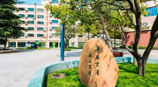 平和哲學、世外二外、WLSA上海菁英課程......盤點上海國際學?！皻⑹诛怠闭n程！