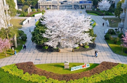 2023年杭州師范大學附屬中學國際部招生簡章