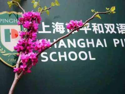 上海市青浦平和雙語學(xué)校報名中