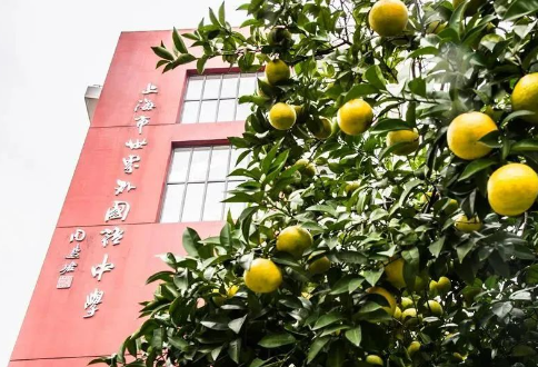 上海世界外國(guó)語中學(xué)高中學(xué)費(fèi)